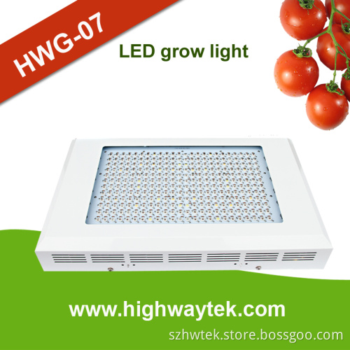Super Bloom LED Grow Light 600W